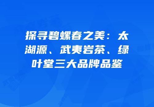 探寻碧螺春之美：太湖源、武夷岩茶、绿叶堂三大品牌品鉴