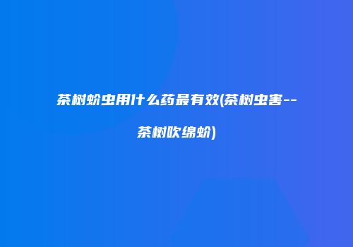 茶树蚧虫用什么药最有效(茶树虫害--茶树吹绵蚧)