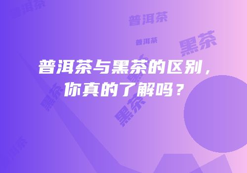普洱茶与黑茶的区别，你真的了解吗？