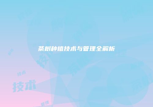 茶树种植技术与管理全解析