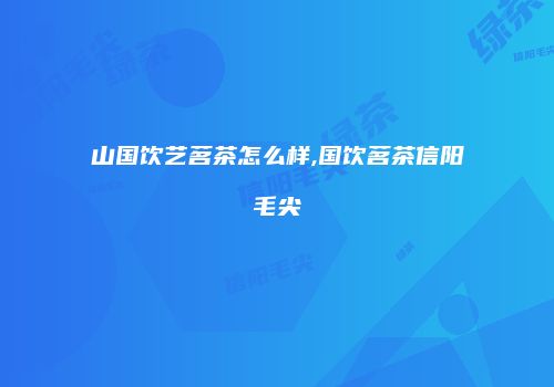 山国饮艺茗茶怎么样,国饮茗茶信阳毛尖