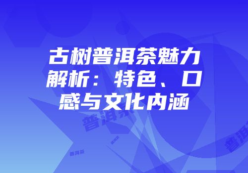 古树普洱茶魅力解析：特色、口感与文化内涵