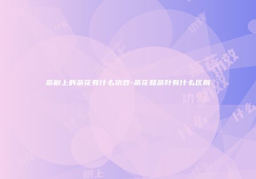 茶树上的茶花有什么功效-茶花和茶叶有什么区别