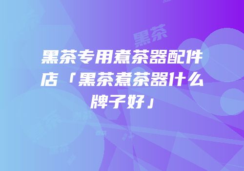 黑茶专用煮茶器配件店「黑茶煮茶器什么牌子好」