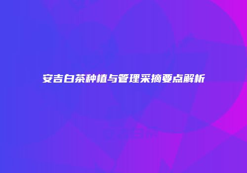 安吉白茶种植与管理采摘要点解析