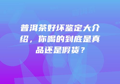 普洱茶好坏鉴定大介绍，你喝的到底是真品还是假货？