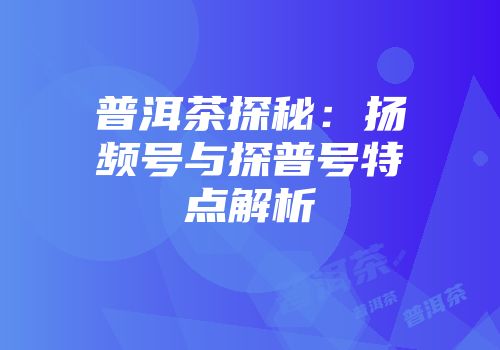 普洱茶探秘：扬频号与探普号特点解析