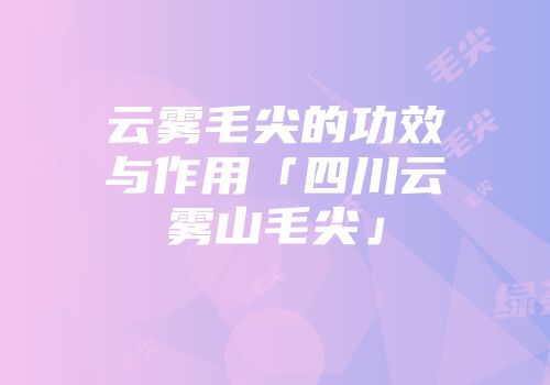 云雾毛尖的功效与作用「四川云雾山毛尖」