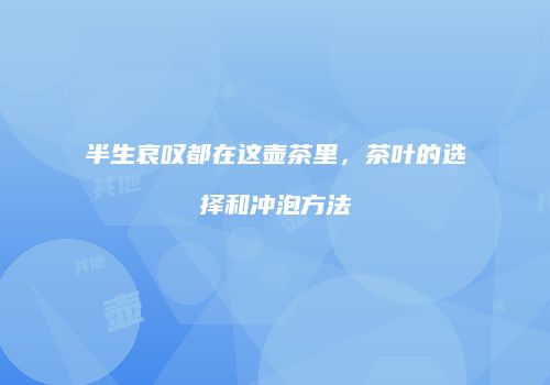 半生哀叹都在这壶茶里，茶叶的选择和冲泡方法