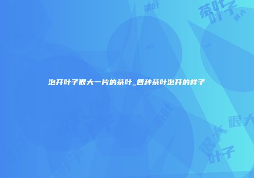 泡开叶子很大一片的茶叶_各种茶叶泡开的样子