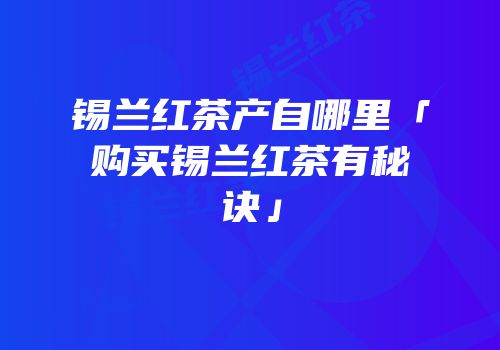 锡兰红茶产自哪里「购买锡兰红茶有秘诀」