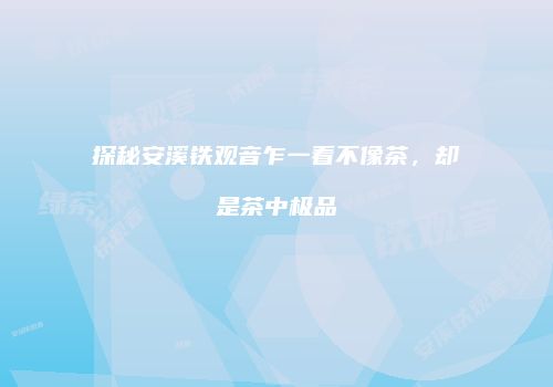 探秘安溪铁观音乍一看不像茶，却是茶中极品