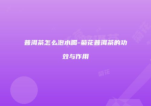 普洱茶怎么泡水喝-菊花普洱茶的功效与作用