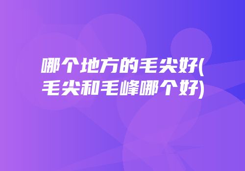哪个地方的毛尖好(毛尖和毛峰哪个好)