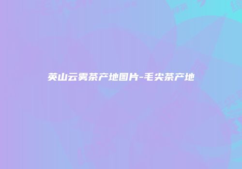 英山云雾茶产地图片-毛尖茶产地