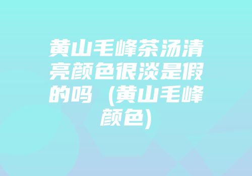 黄山毛峰茶汤清亮颜色很淡是假的吗 (黄山毛峰颜色)