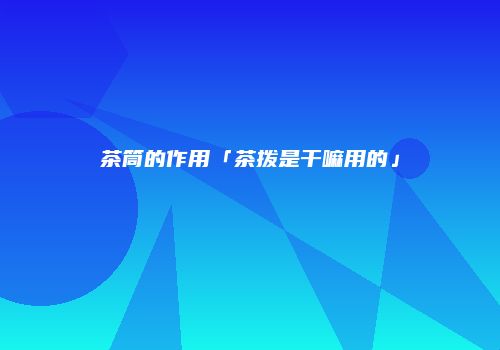 茶筒的作用「茶拨是干嘛用的」