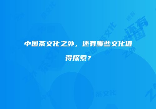 中国茶文化之外，还有哪些文化值得探索？