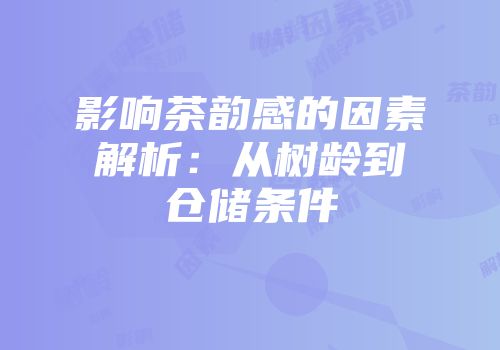 影响茶韵感的因素解析：从树龄到仓储条件