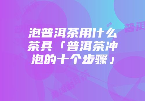 泡普洱茶用什么茶具「普洱茶冲泡的十个步骤」