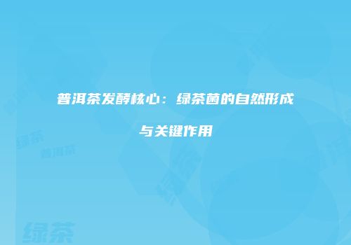 普洱茶发酵核心：绿茶菌的自然形成与关键作用