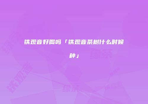 铁观音好喝吗「铁观音茶树什么时候种」