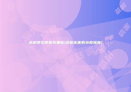 茶树常见病害有哪些(茶树冻害的补救措施)
