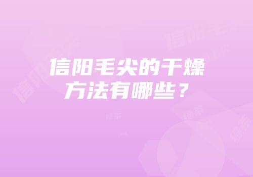信阳毛尖的干燥方法有哪些？
