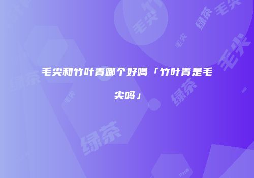 毛尖和竹叶青哪个好喝「竹叶青是毛尖吗」