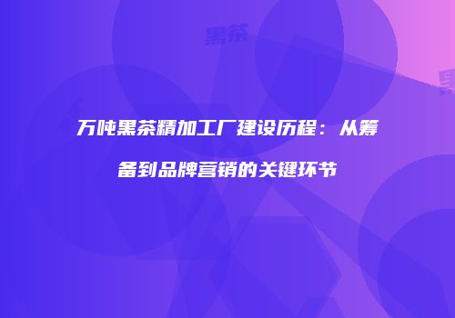万吨黑茶精加工厂建设历程：从筹备到品牌营销的关键环节