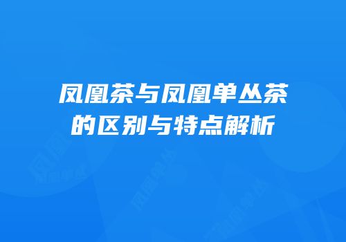 凤凰茶与凤凰单丛茶的区别与特点解析