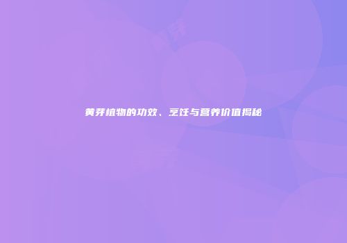 黄芽植物的功效、烹饪与营养价值揭秘