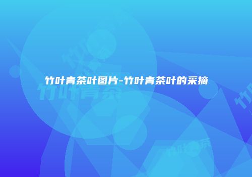 竹叶青茶叶图片-竹叶青茶叶的采摘