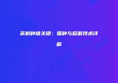 茶树种植关键：播种与移栽技术详解