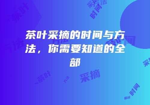 茶叶采摘的时间与方法，你需要知道的全部