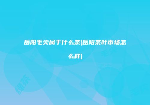 岳阳毛尖属于什么茶(岳阳茶叶市场怎么样)
