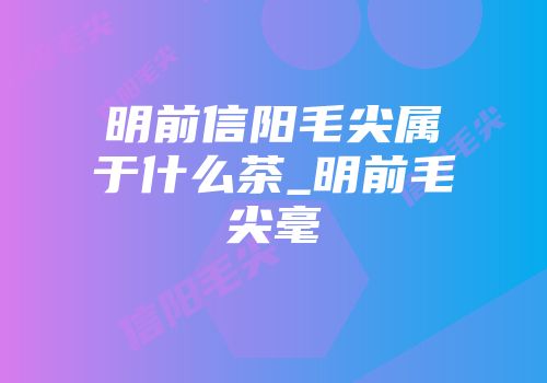 明前信阳毛尖属于什么茶_明前毛尖毫