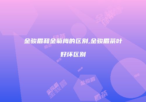 金骏眉和金菊梅的区别,金骏眉茶叶好坏区别