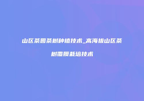 山区茶园茶树种植技术_高海拔山区茶树覆膜栽培技术