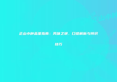 正山小种品鉴指南：风味之谜、口感解析与辨识技巧