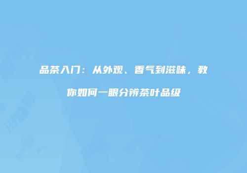 品茶入门：从外观、香气到滋味，教你如何一眼分辨茶叶品级