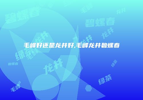 毛峰好还是龙井好,毛峰龙井碧螺春