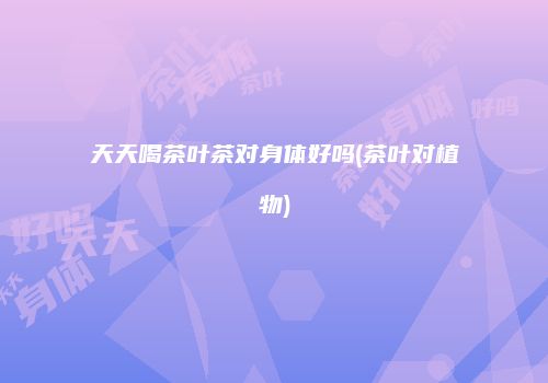 天天喝茶叶茶对身体好吗(茶叶对植物)