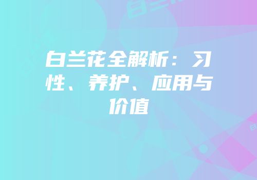 白兰花全解析：习性、养护、应用与价值