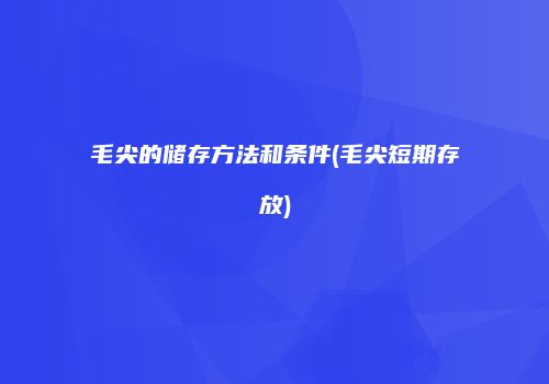 毛尖的储存方法和条件(毛尖短期存放)