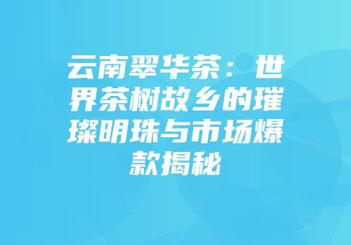 云南翠华茶：世界茶树故乡的璀璨明珠与市场爆款揭秘