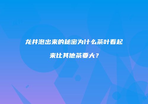龙井泡出来的秘密为什么茶叶看起来比其他茶要大？