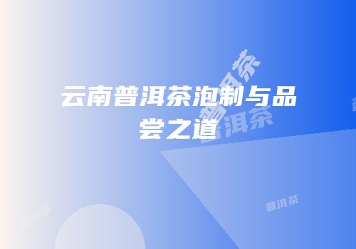 云南普洱茶泡制与品尝之道