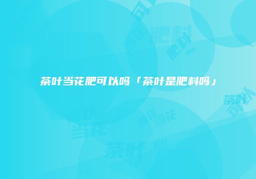 茶叶当花肥可以吗「茶叶是肥料吗」
