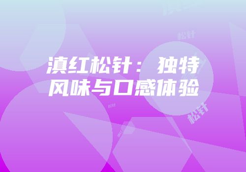 滇红松针：独特风味与口感体验